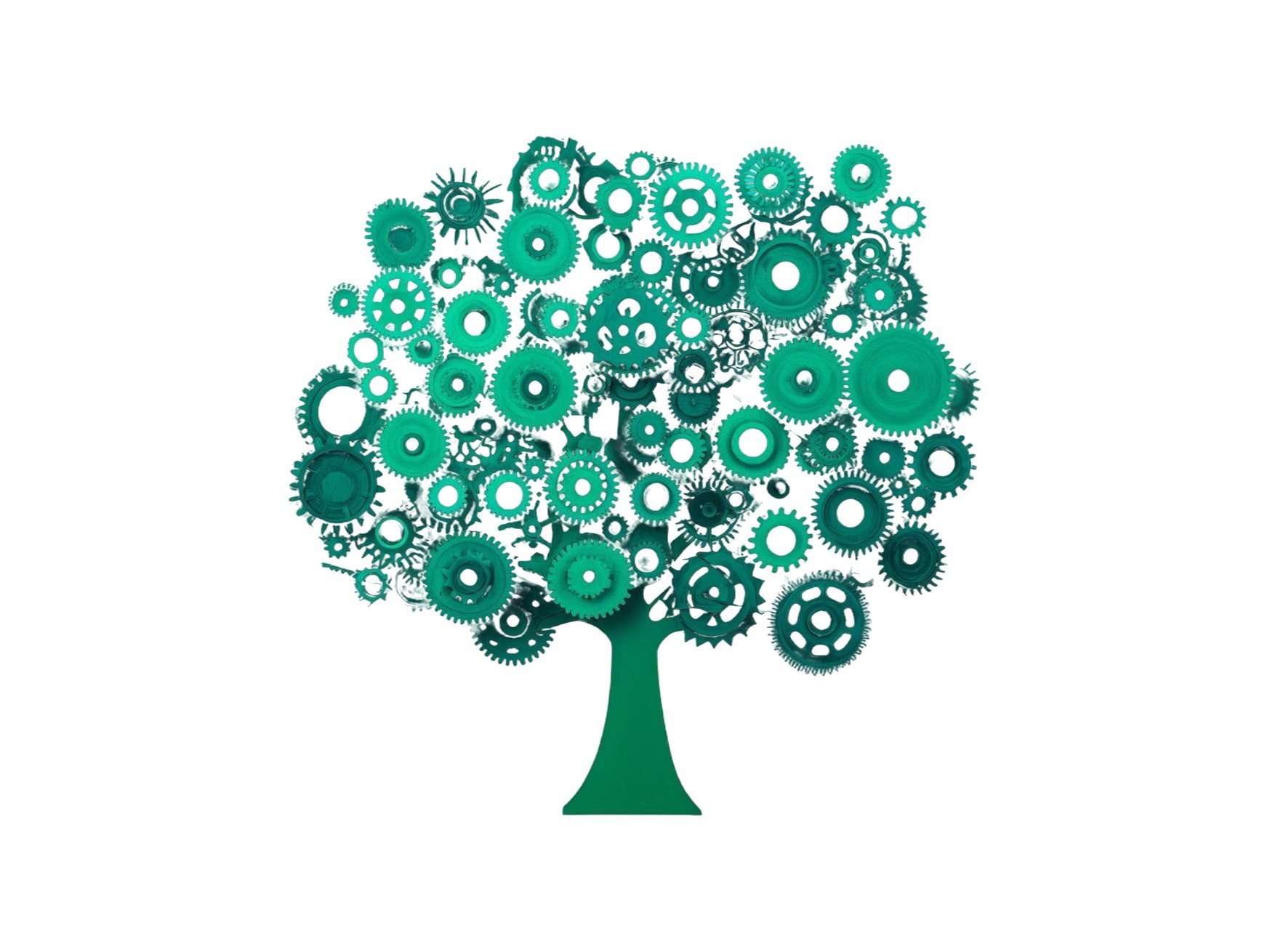 CSR Project Management