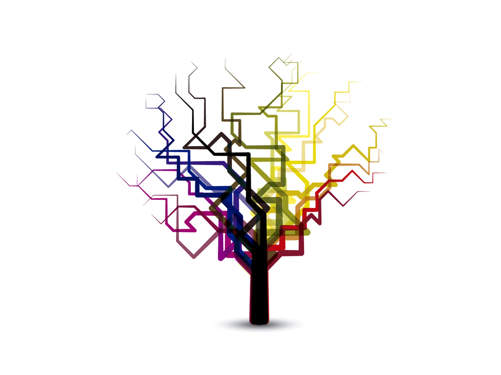 Training and Capacity Building