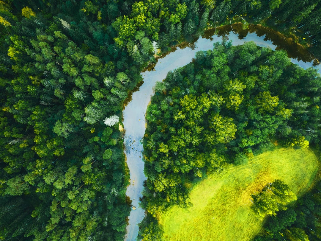 ESG Strategy & Transformation